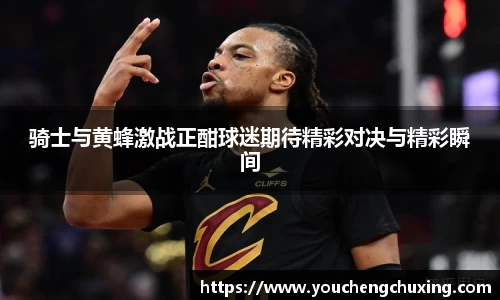 骑士与黄蜂激战正酣球迷期待精彩对决与精彩瞬间