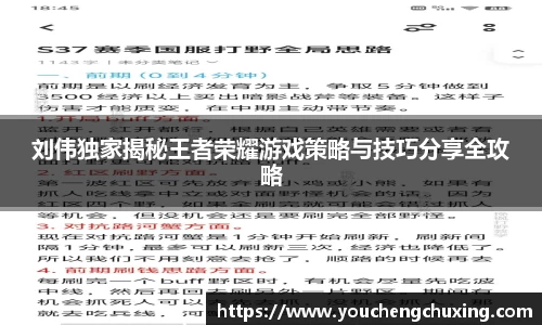刘伟独家揭秘王者荣耀游戏策略与技巧分享全攻略